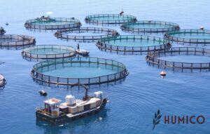 Для чего используется гумат натрия - HUMICO