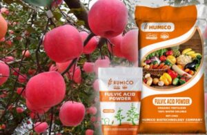 Humico Fulvic Acid - Organic Fertilizer for Apple Trees