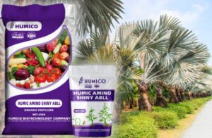 Humico Humic Amino Shiny Balls - What is The Best Fertilizer for Palm Trees A Guide to Healthy Growth