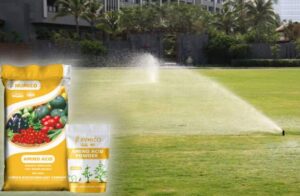 HUMICO™ Best Fertilizer for Lawns and Grass Healthy Growth