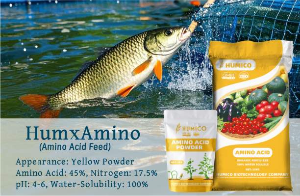 Humico Feed - How Often Should You Feed Your Fish, And How Much Is Enough?