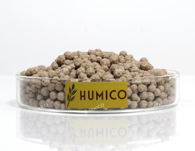 Humico HumxAmino Big Granules (Compound Amino Acid Granules) Color Appearance - China Organic Fertilizer Manufacuter