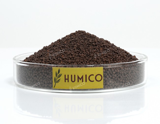 Humico HumxFulvic Granules (Fulvic Acid Granules) Color Appearance - China Organic Fertilizer Manufacuter