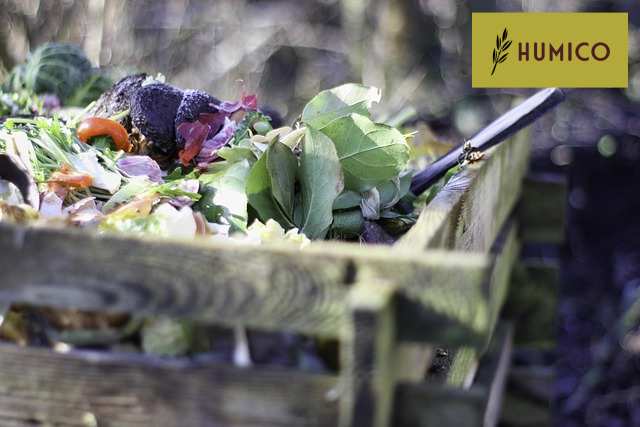 Humico Article - What is The Best Fertilizer for Christmas Cactus When & How to Fertilize