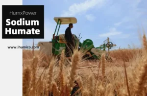 Humico - What is the Best Fertilizer for Wheat Guide for Optimal Growth (Sodium Humate)