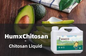 Humico - Fertilizing Avocado Trees for Optimal Growth A Complete Guide