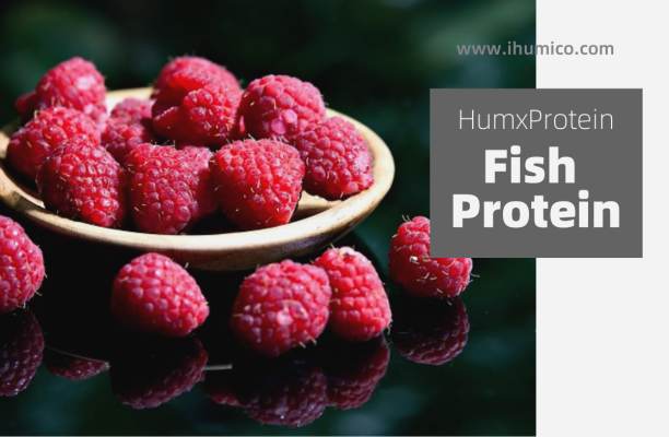 Humico - What is The Best Fertilizer for Raspberries – Nutrient Needs and Feeding Tips