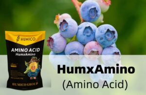 Humico - Best Fertilizer for Berries A Complete Guide to Feeding Your Bush Fruits