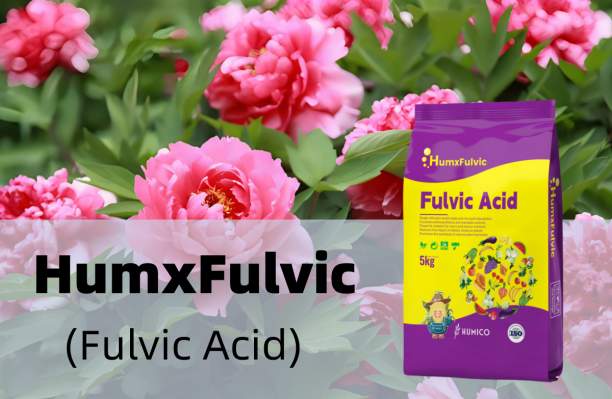 Humico - What is The Best Fertilizer for Peonies When & How to Apply It