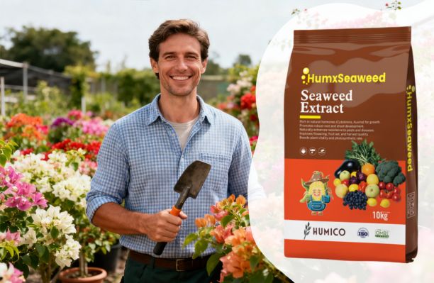 Humico - Fertilizing Bougainvillea - The Ultimate Guide to Nutritional Needs