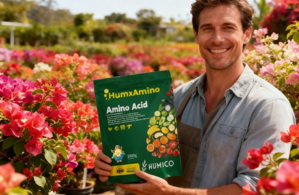Humico - Fertilizing Bougainvillea - The Ultimate Guide to Nutritional Needs