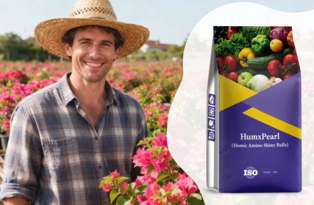 Humico - Fertilizing Bougainvillea - The Ultimate Guide to Nutritional Needs