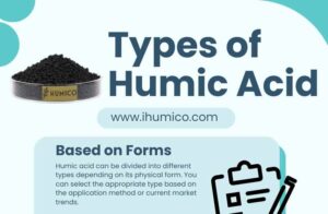 Humico - Types of Humic Acid Infographic Title
