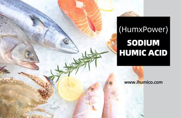 Humico - What Is Humic Acid The Ultimate Guide