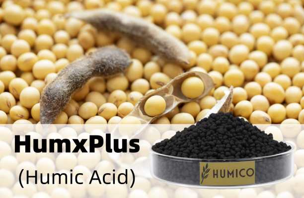 Humico - What Is Humic Acid The Ultimate Guide