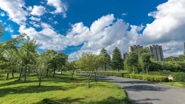 Humico - Bacillus Thuringiensis - Large-Scale Forestry Management