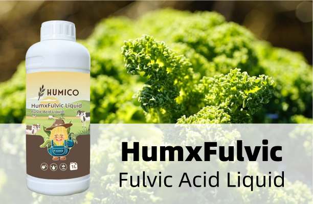 Humico - Kale Fertilizing Complete Guide Fertilizer, Timing & Application - Fulvic Acid Liquid
