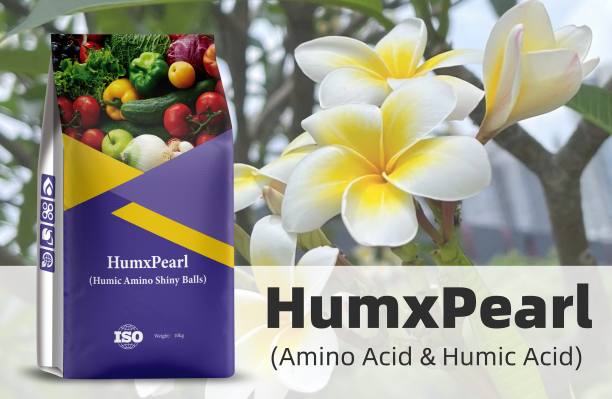 Humico - Plumeria Fertilizing Complete Guide Fertilizer, Timing & Application - HumxPearl (Amino Acid & Humic Acid)