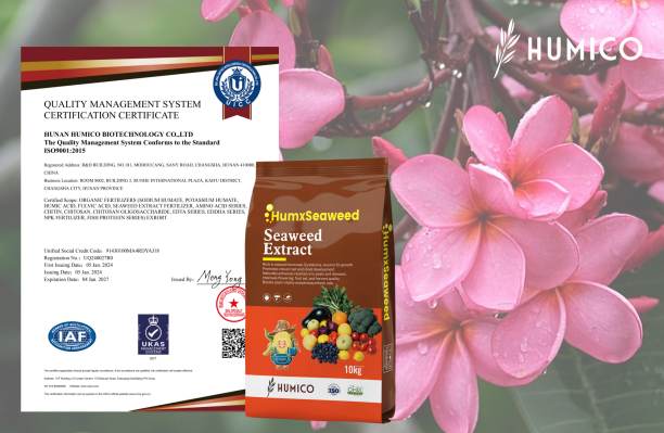 Humico - Plumeria Fertilizing Complete Guide Fertilizer, Timing & Application - HumxSeaweed (Seaweed Extract)