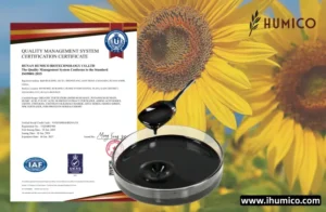 Humico - What is Best Fertilizers for Sunflowers How & When to Fertilizer A Comprehensive Guide - HumxPlus (Humic Acid Liquid)