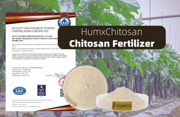 Humico HumxChitosan (Chitosan Fertilizer) - Eggplant Fertilizer Guide Essential Nutrients & Application