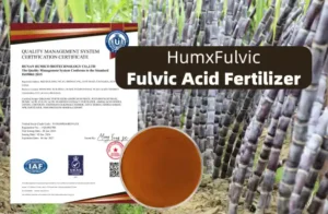 Humico - Sugarcane Fertilizer Guide Best Fertilizer, NPK, Dose & Application - HumxFulvic (Fulvic Acid Fertilizer)