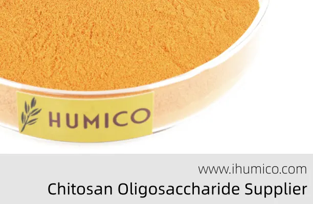 Humico - What Is Chitosan Oligosaccharide Plant Benefits & Applications - Chitosan Oligosaccharide Supplier