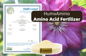 Humico - What is The Best Fertilizer for Clematis When & How to Fertilize - Amino Acid Fertilizer