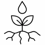 Humico - Bacillus licheniformis - Drought Tolerance