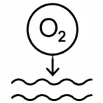 Humico - Bacillus licheniformis - Oxygen Depletion