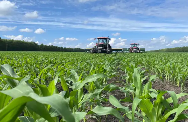 Humico - Bacillus megaterium - High-Input Row Crop Farms