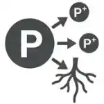 Humico - Bacillus megaterium - Powerful P-Solubilization