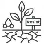Humico - Bacillus megaterium - Saline Soil Adaptability