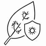 Humico Bacillus pumilus - Biofilm Formation on Foliage