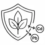 Humico Bacillus pumilus - Heavy Metal Antagonism