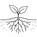 Humico Bacillus pumilus - Rapid Root Colonization
