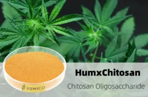 Humico - Cannabis Flowering Stage Essential Conditions & Troubleshooting Tips - Chitosan Oligosaccharide