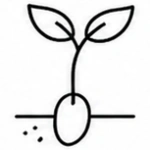 Humico Chitosan Oligosaccharide - Improves Seed Germination