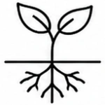 Humico Chitosan Oligosaccharide - Promotes Root Development