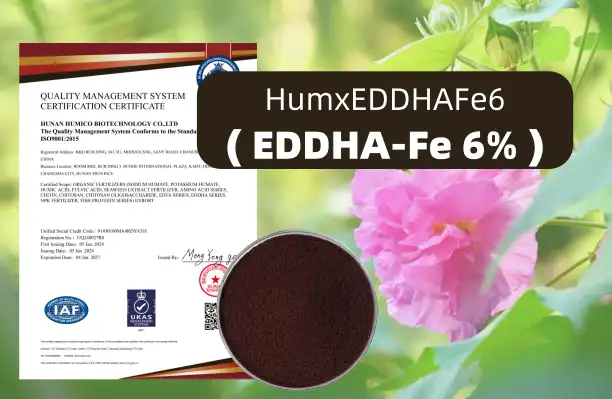 Humico - Hibiscus Fertilizer Guide Best Fertilizer, How & When to Fertilize - HumxEDDHAFe6 (EDDHA‑Fe 6%) ISO9001
