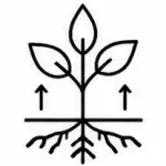 Humico Kasugamycin - Systemic Action