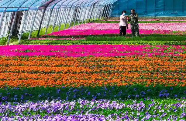 Humico - Trichoderma viride - Horticulture and Landscaping