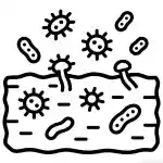 Humico - Trichoderma viride - Improves Soil Health