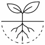 Humico Validamycin - Non-Inhibitory Growth Support