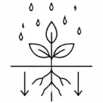 Humico Validamycin - Superior Systemic Conductivity