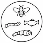 Humico Validamycin - Zero-Risk Ecological Profile